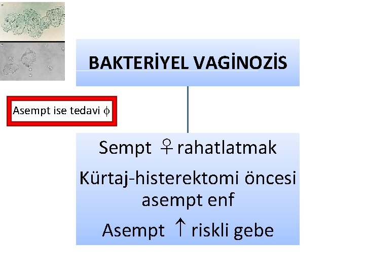 BAKTERİYEL VAGİNOZİS Asempt ise tedavi Sempt ♀rahatlatmak Kürtaj-histerektomi öncesi asempt enf Asempt riskli gebe