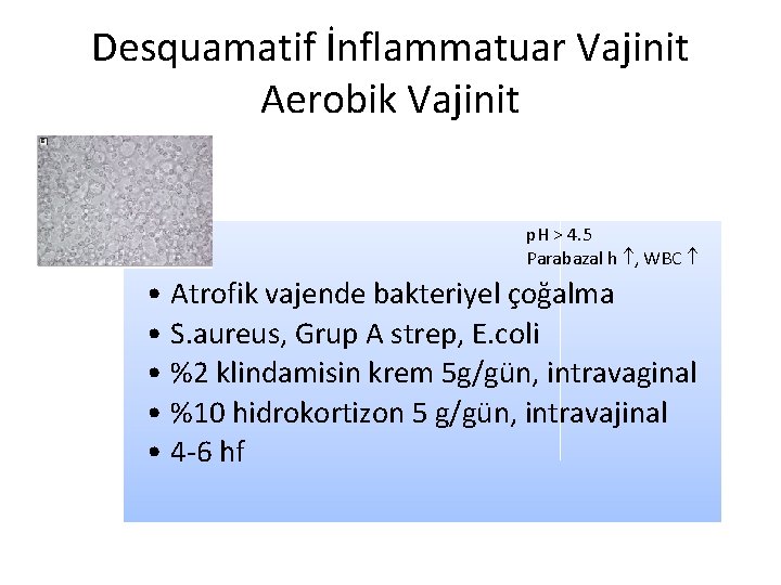 Desquamatif İnflammatuar Vajinit Aerobik Vajinit p. H > 4. 5 Parabazal h , WBC