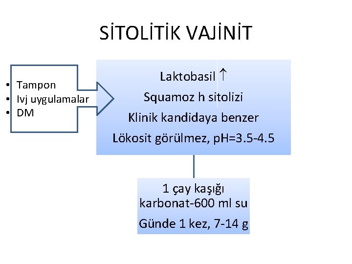 SİTOLİTİK VAJİNİT • Tampon • Ivj uygulamalar • DM Laktobasil Squamoz h sitolizi Klinik