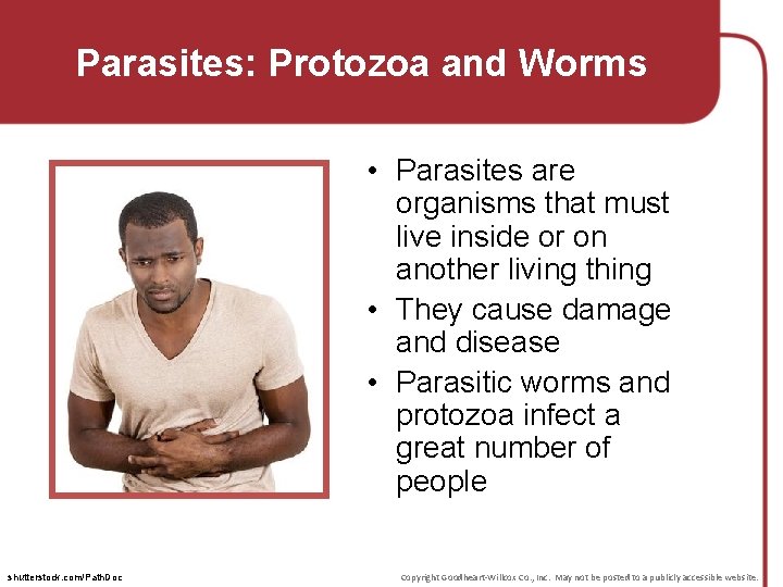 Parasites: Protozoa and Worms • Parasites are organisms that must live inside or on
