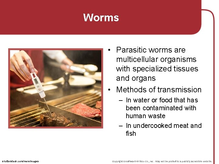 Worms • Parasitic worms are multicellular organisms with specialized tissues and organs • Methods