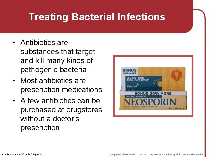 Treating Bacterial Infections • Antibiotics are substances that target and kill many kinds of