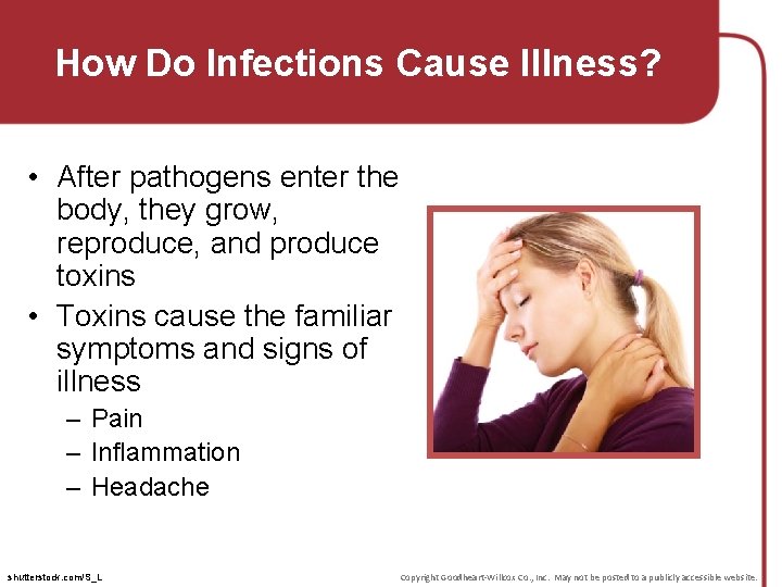 How Do Infections Cause Illness? • After pathogens enter the body, they grow, reproduce,