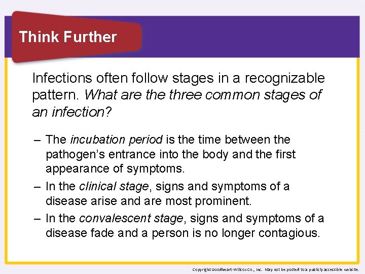 Think Further Infections often follow stages in a recognizable pattern. What are three common