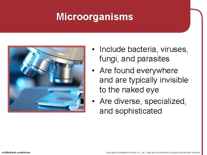 Microorganisms • Include bacteria, viruses, fungi, and parasites • Are found everywhere and are