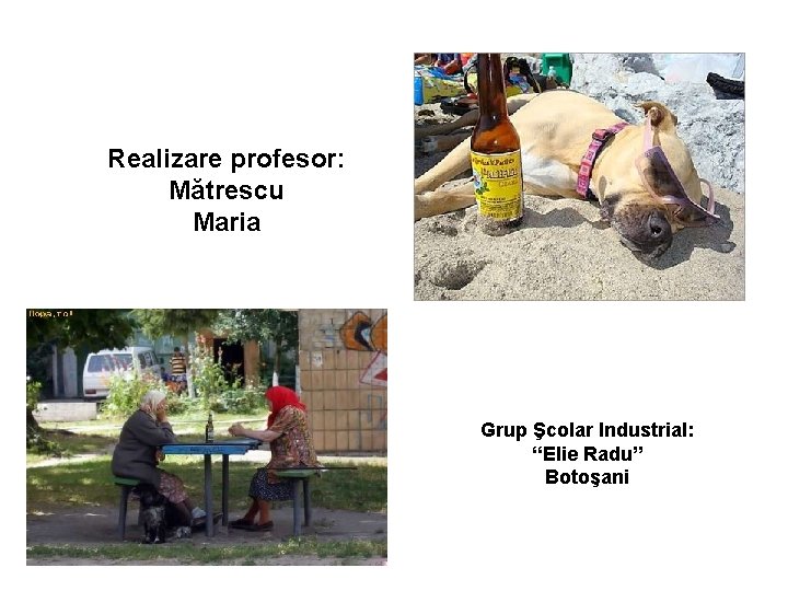 Realizare profesor: Mătrescu Maria Grup Şcolar Industrial: “Elie Radu” Botoşani 