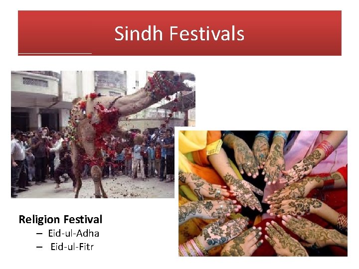 Sindh Festivals Religion Festival – Eid-ul-Adha – Eid-ul-Fitr 