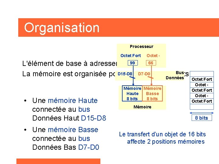 Organisation Processeur Octet Fort Octet - 99 66 L'élément de base à adresser est