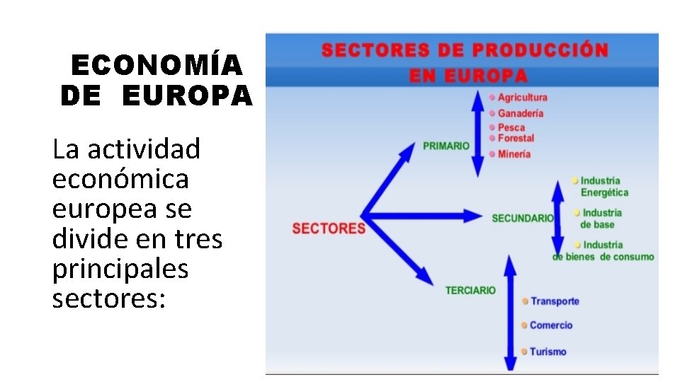 ECONOMÍA DE EUROPA La actividad económica europea se divide en tres principales sectores: 