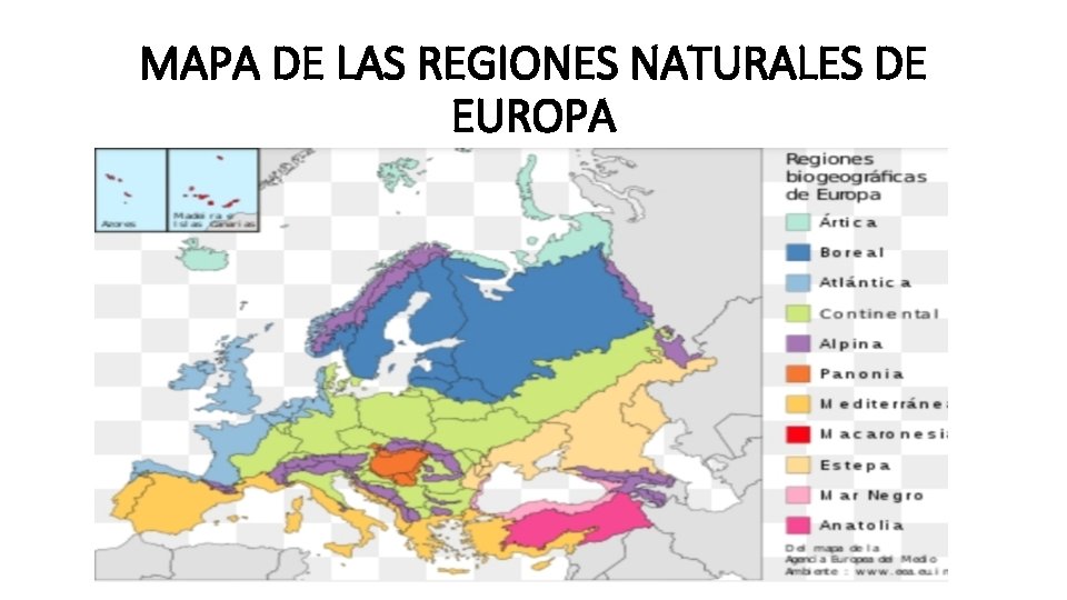 MAPA DE LAS REGIONES NATURALES DE EUROPA 
