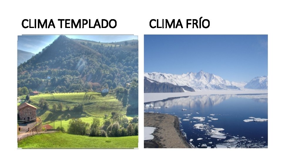 CLIMA TEMPLADO CLIMA FRÍO 