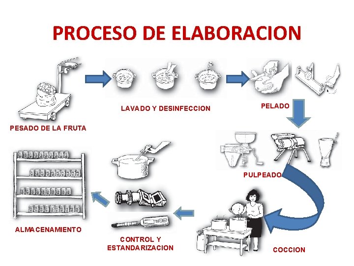 PROCESO DE ELABORACION LAVADO Y DESINFECCION PELADO PESADO DE LA FRUTA PULPEADO ALMACENAMIENTO CONTROL PROCESO DE ELABORACION LAVADO Y DESINFECCION PELADO PESADO DE LA FRUTA PULPEADO ALMACENAMIENTO CONTROL