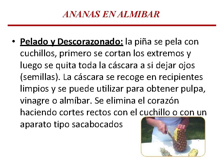 ANANAS EN ALMIBAR • Pelado y Descorazonado: la piña se pela con cuchillos, primero ANANAS EN ALMIBAR • Pelado y Descorazonado: la piña se pela con cuchillos, primero