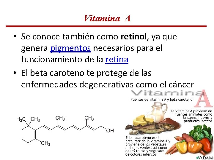 Vitamina A • Se conoce también como retinol, ya que genera pigmentos necesarios para Vitamina A • Se conoce también como retinol, ya que genera pigmentos necesarios para