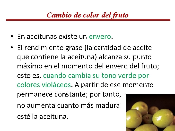 Cambio de color del fruto • En aceitunas existe un envero. • El rendimiento Cambio de color del fruto • En aceitunas existe un envero. • El rendimiento