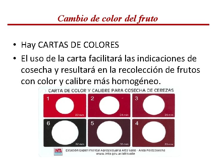 Cambio de color del fruto • Hay CARTAS DE COLORES • El uso de Cambio de color del fruto • Hay CARTAS DE COLORES • El uso de