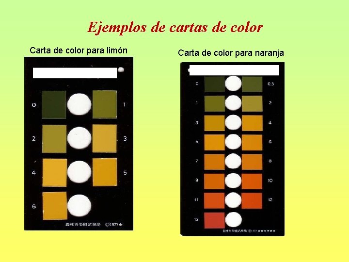 Ejemplos de cartas de color Carta de color para limón Carta de color para Ejemplos de cartas de color Carta de color para limón Carta de color para