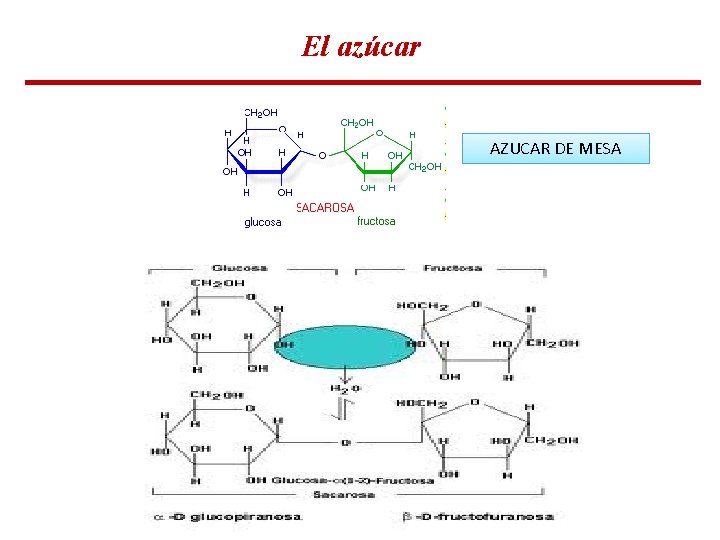El azúcar AZUCAR DE MESA El azúcar AZUCAR DE MESA