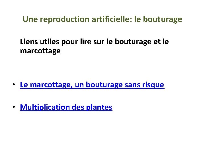 Une reproduction artificielle: le bouturage Liens utiles pour lire sur le bouturage et le