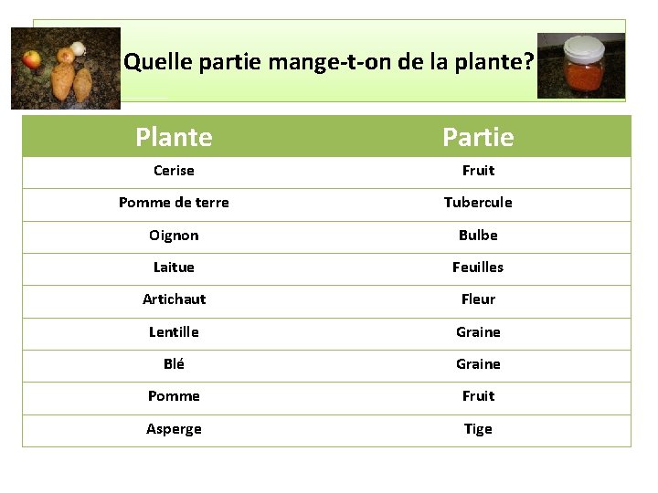 Quelle partie mange-t-on de la plante? Plante Partie Cerise Fruit Pomme de terre Tubercule