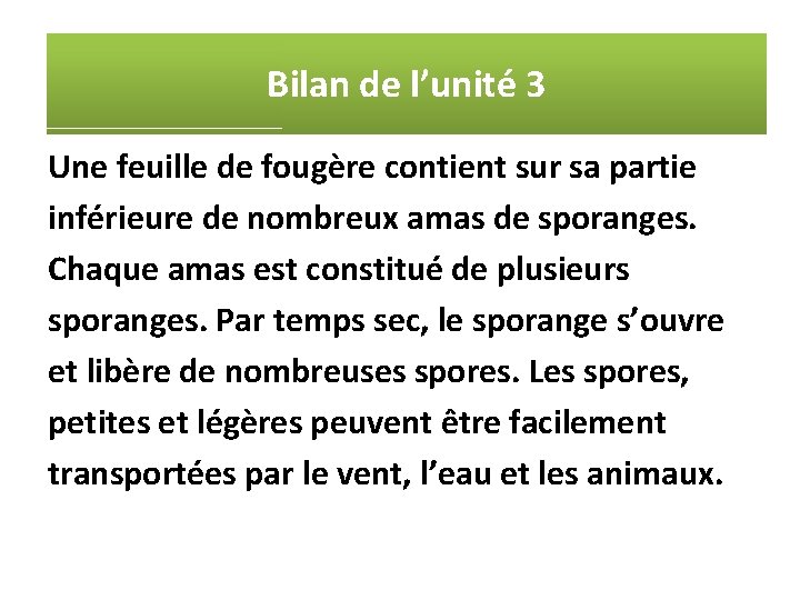 Bilan de l’unité 3 Une feuille de fougère contient sur sa partie inférieure de