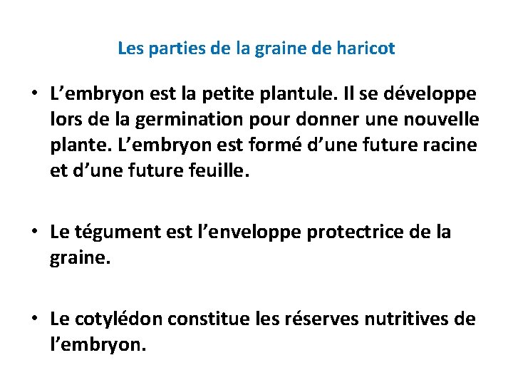 Les parties de la graine de haricot • L’embryon est la petite plantule. Il