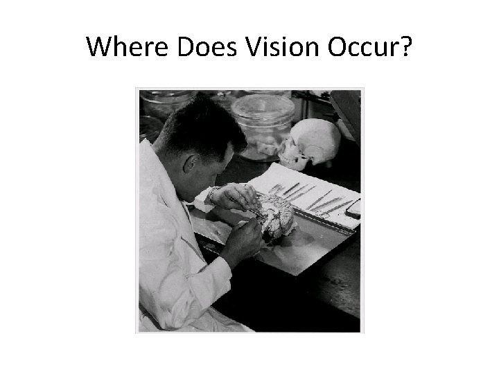 Where Does Vision Occur? 