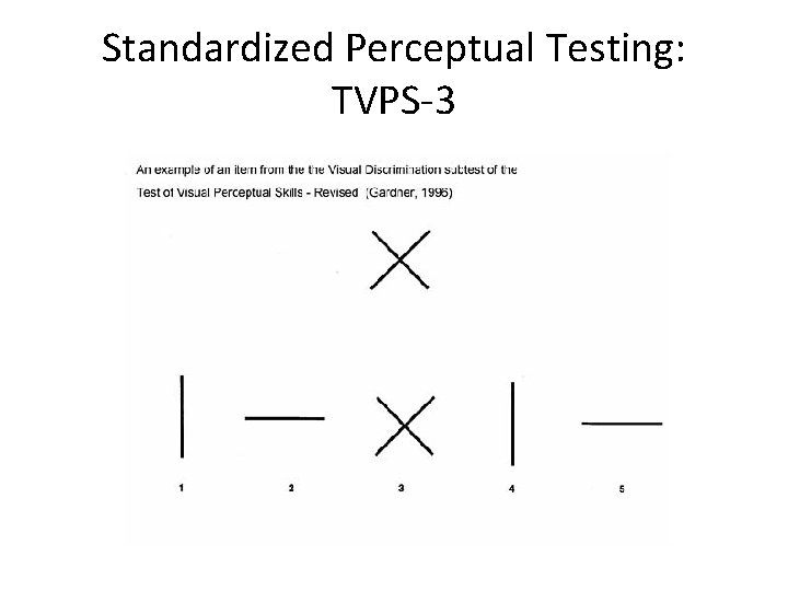 Standardized Perceptual Testing: TVPS-3 