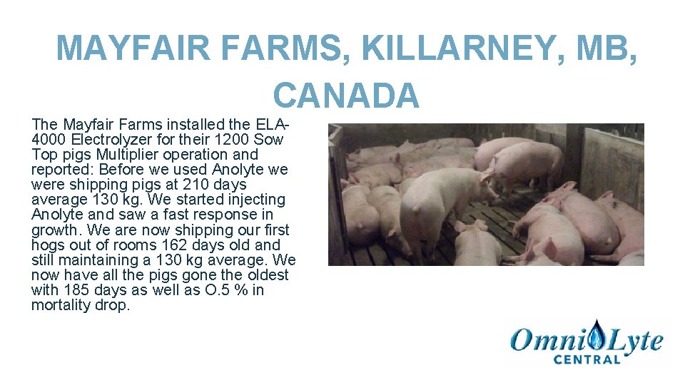 MAYFAIR FARMS, KILLARNEY, MB, CANADA The Mayfair Farms installed the ELA 4000 Electrolyzer for