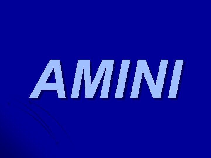 AMINI 