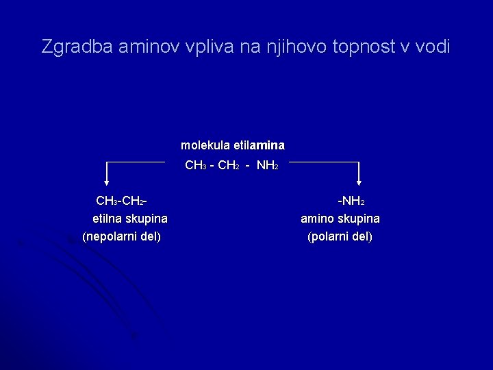 Zgradba aminov vpliva na njihovo topnost v vodi molekula etilamina CH 3 - CH