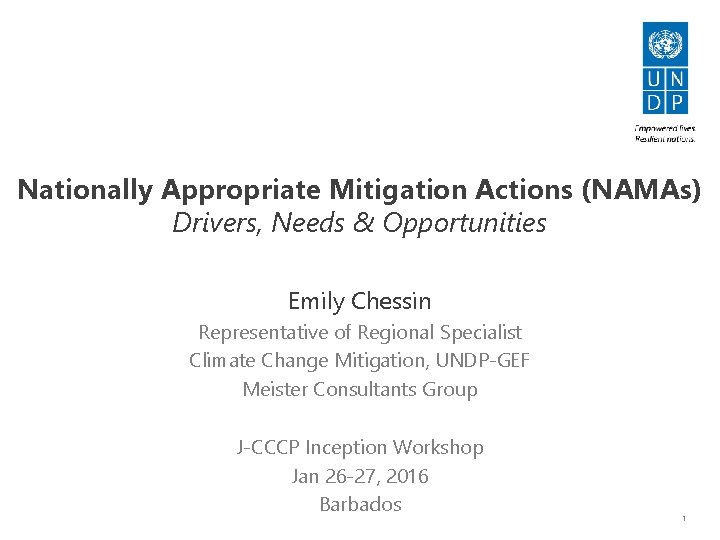 Nationally Appropriate Mitigation Actions (NAMAs) Drivers, Needs & Opportunities Emily Chessin Representative of Regional