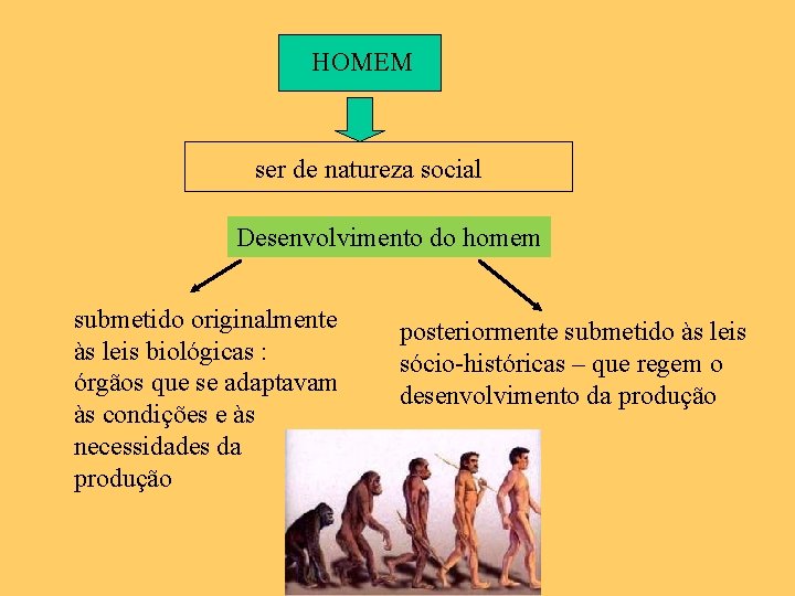 HOMEM ser de natureza social Desenvolvimento do homem submetido originalmente às leis biológicas :