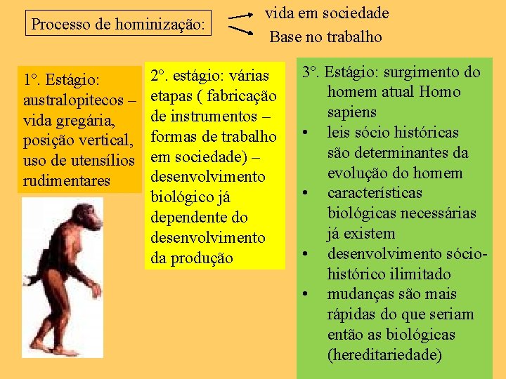 Processo de hominização: 1º. Estágio: australopitecos – vida gregária, posição vertical, uso de utensílios