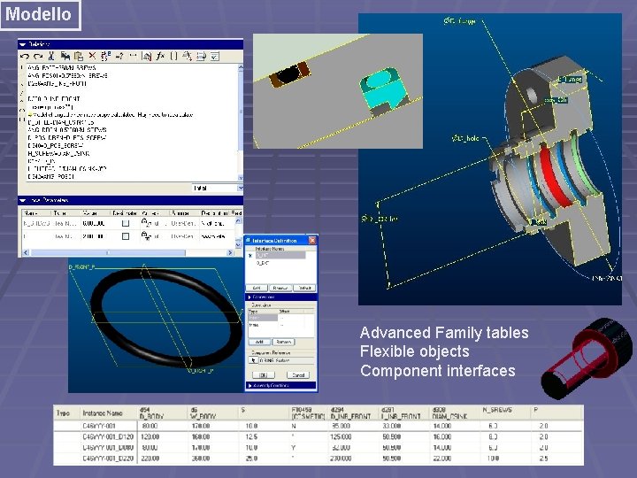 Modello Advanced Family tables Flexible objects Component interfaces 