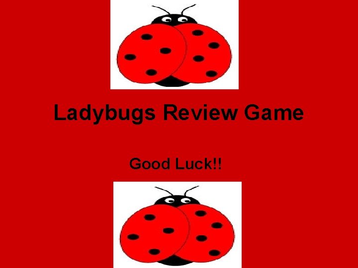 Ladybugs Review Game Good Luck!! 