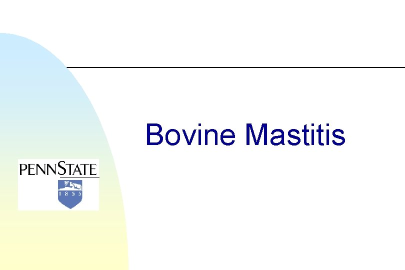 Bovine Mastitis 