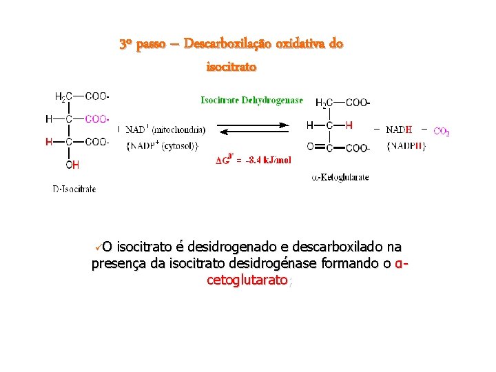 3º passo – Descarboxilação oxidativa do isocitrato üO isocitrato é desidrogenado e descarboxilado na