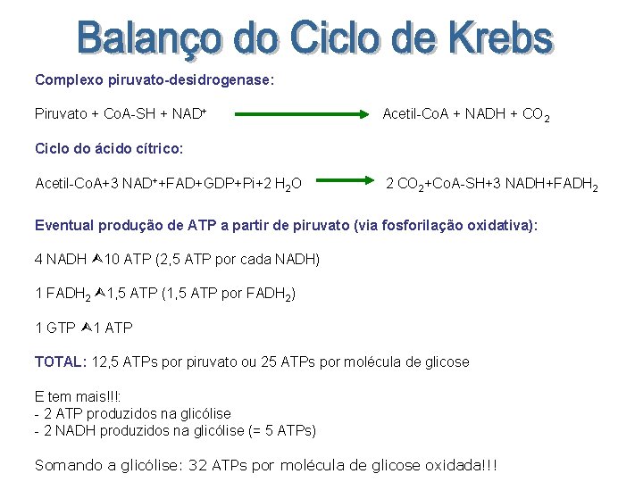 Complexo piruvato-desidrogenase: Piruvato + Co. A-SH + NAD+ Acetil-Co. A + NADH + CO