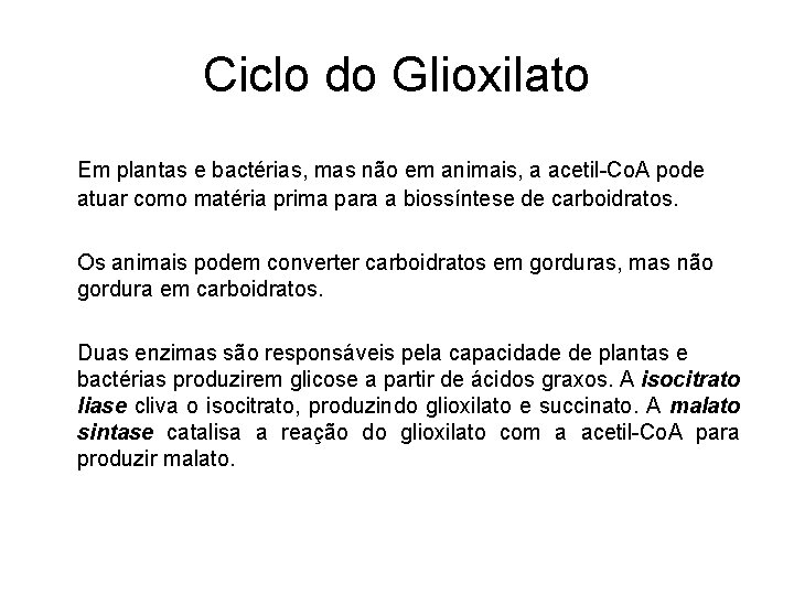 Ciclo do Glioxilato Em plantas e bactérias, mas não em animais, a acetil-Co. A