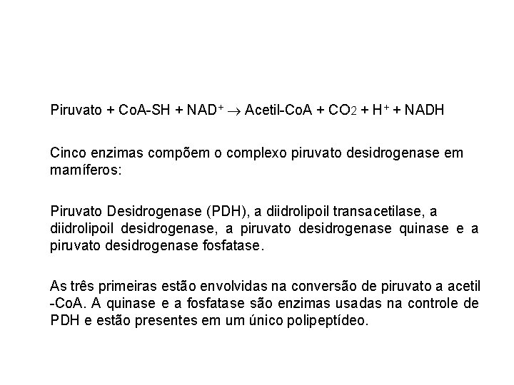 Piruvato + Co. A-SH + NAD+ Acetil-Co. A + CO 2 + H+ +