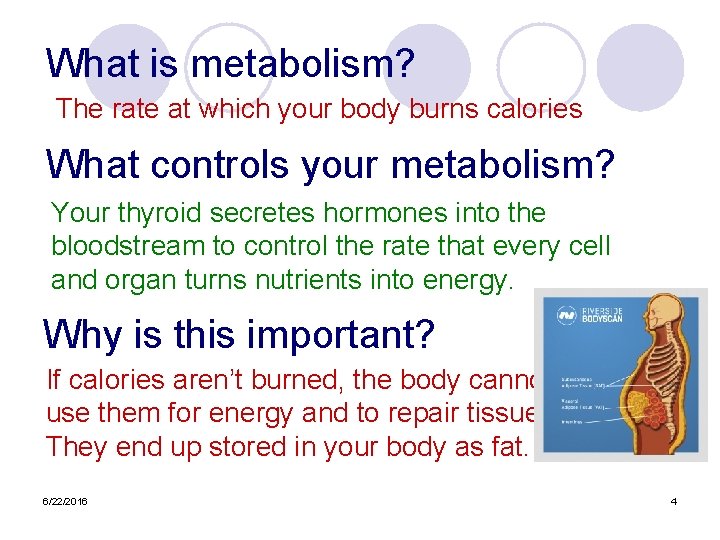 What is metabolism? The rate at which your body burns calories What controls your