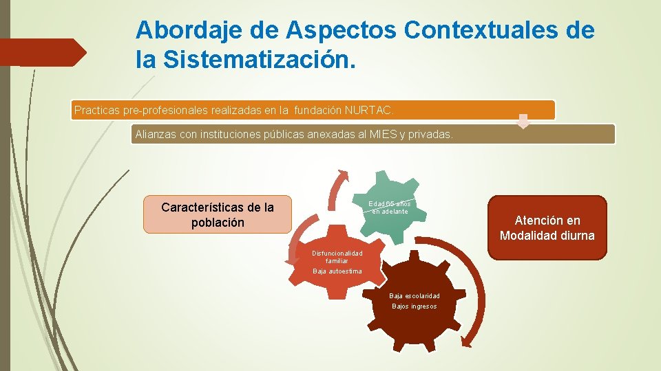 Abordaje de Aspectos Contextuales de la Sistematización. Practicas pre-profesionales realizadas en la fundación NURTAC.