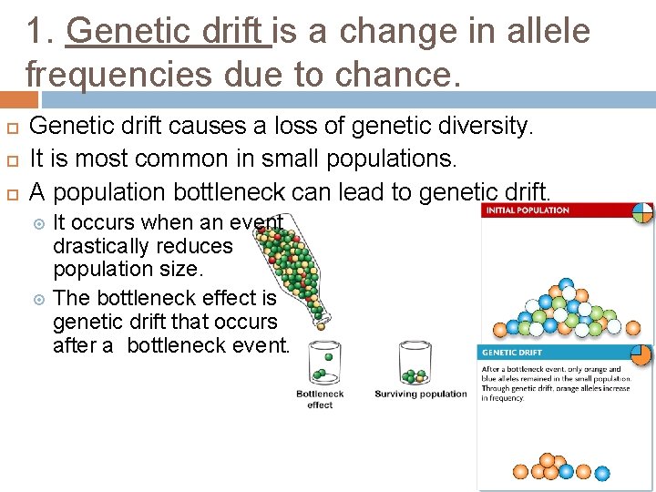 1. Genetic drift is a change in allele frequencies due to chance. Genetic drift