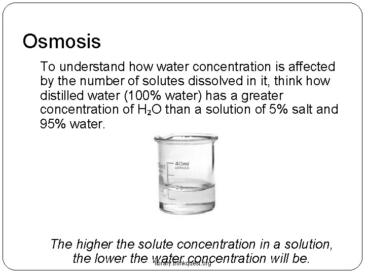Osmosis To understand how water concentration is affected by the number of solutes dissolved Osmosis To understand how water concentration is affected by the number of solutes dissolved