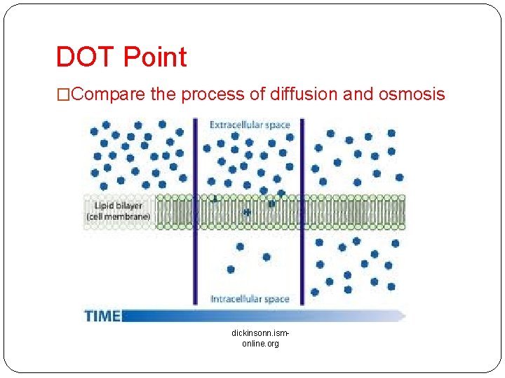 DOT Point �Compare the process of diffusion and osmosis dickinsonn. ismonline. org DOT Point �Compare the process of diffusion and osmosis dickinsonn. ismonline. org