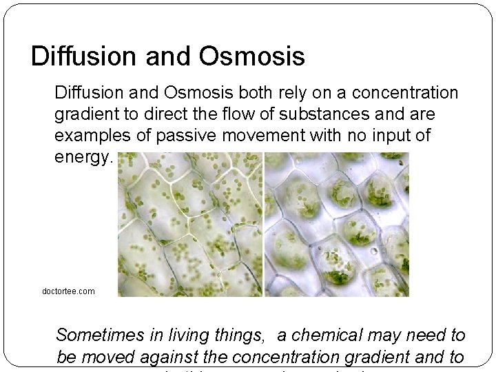Diffusion and Osmosis both rely on a concentration gradient to direct the flow of Diffusion and Osmosis both rely on a concentration gradient to direct the flow of