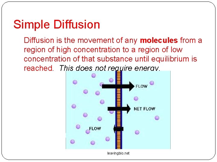Simple Diffusion is the movement of any molecules from a region of high concentration Simple Diffusion is the movement of any molecules from a region of high concentration