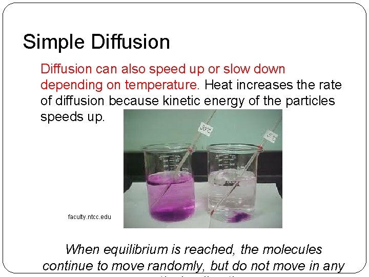 Simple Diffusion can also speed up or slow down depending on temperature. Heat increases Simple Diffusion can also speed up or slow down depending on temperature. Heat increases