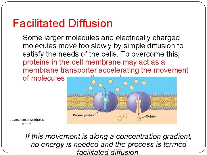 Facilitated Diffusion Some larger molecules and electrically charged molecules move too slowly by simple Facilitated Diffusion Some larger molecules and electrically charged molecules move too slowly by simple